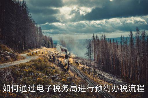 國稅局預約有什么，拿金稅盤去國稅前臺弄要預約嗎
