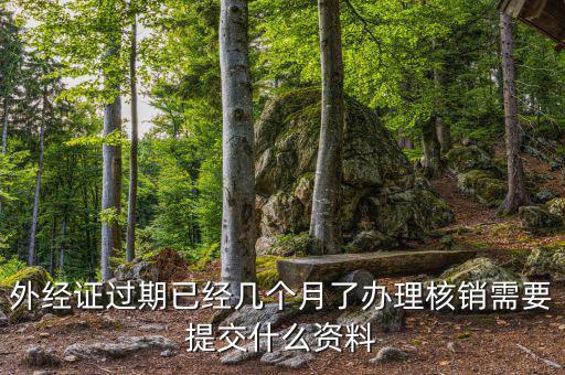外經(jīng)證過期已經(jīng)幾個(gè)月了辦理核銷需要提交什么資料