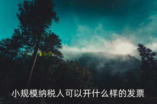 小規(guī)模領(lǐng)用什么發(fā)票，小規(guī)模納稅人可以開什么樣的發(fā)票
