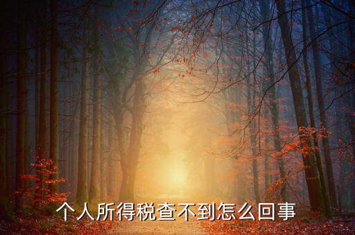 個(gè)人所得稅扣減為什么查不到，個(gè)人所得稅為什么不能在網(wǎng)上查找