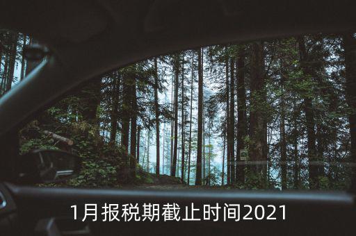 1月份地稅什么時(shí)候申報(bào)，報(bào)稅一般都是每個(gè)月什么時(shí)候報(bào)稅