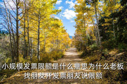 發(fā)票機為什么限額，稅控機顯示發(fā)票超出累計限額是什么原因