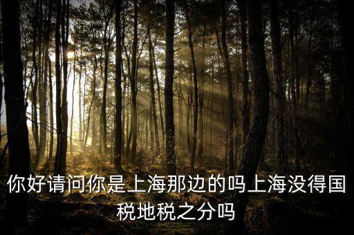 你好請(qǐng)問你是上海那邊的嗎上海沒得國(guó)稅地稅之分嗎