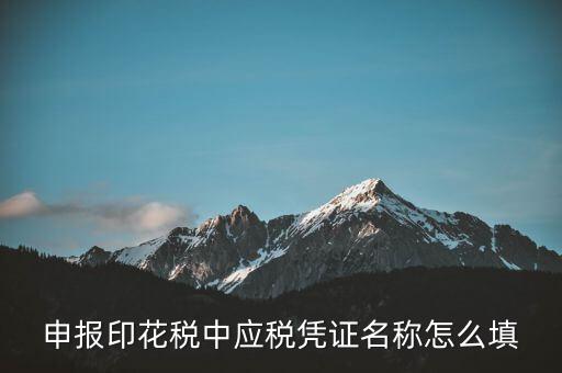 印花稅應(yīng)稅憑證名稱是什么，申報(bào)印花稅中應(yīng)稅憑證名稱怎么填