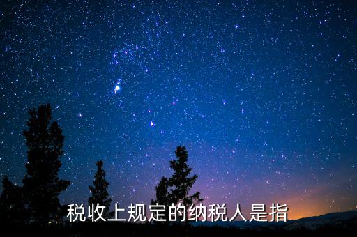 什么人是納稅人，納稅人的定義的什么