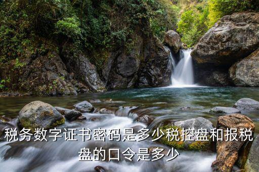 國(guó)稅開票軟件的稅務(wù)證書密碼是什么，稅務(wù)數(shù)字證書密碼是多少稅控盤和報(bào)稅盤的口令是多少