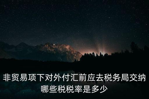 非貿易項下對外付匯前應去稅務局交納哪些稅稅率是多少