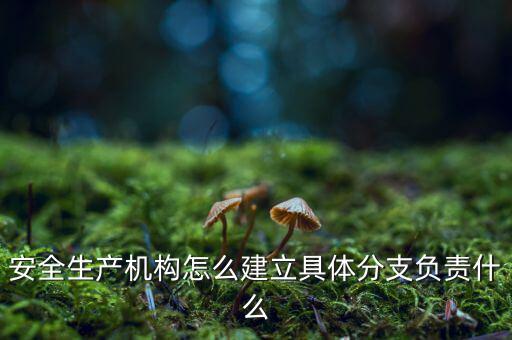 什么是三級分支機(jī)構(gòu)，英語三級發(fā)證機(jī)構(gòu)是什么