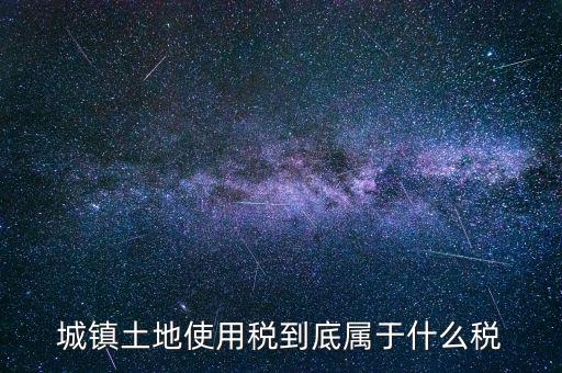 城鎮(zhèn)土地使用稅屬于什么稅種，城鎮(zhèn)土地使用稅到底屬于什么稅