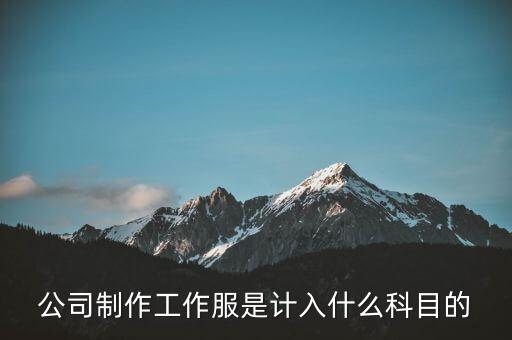 工作服屬于什么稅收分類編碼，稅控上商品和服務稅收分類編碼怎么填