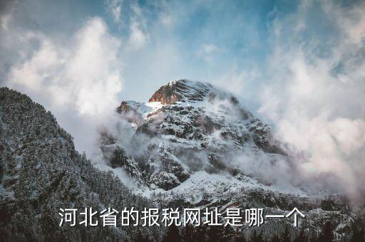 河北稅務官網是什么，怎么打開河北省國稅網站