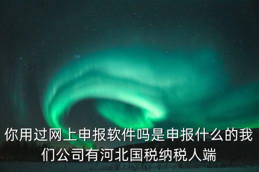 企業(yè)申報(bào)客戶端是什么，你用過(guò)網(wǎng)上申報(bào)軟件嗎是申報(bào)什么的我們公司有河北國(guó)稅納稅人端