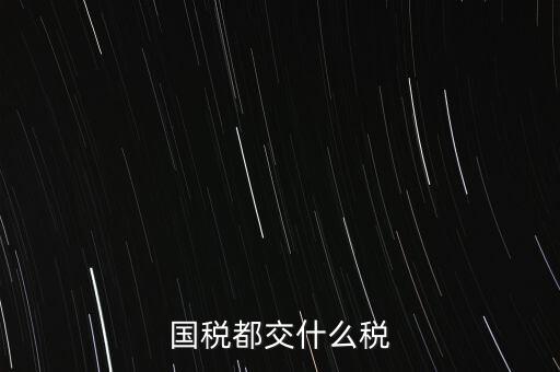 國(guó)稅都交什么稅