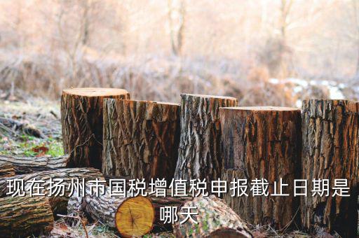 揚州10月稅務申報什么時候，個人所得稅10月份申報期限是多少