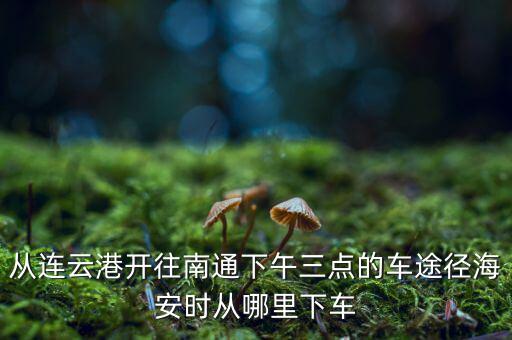 連云港到南通經(jīng)過(guò)什么地方，從連云港開(kāi)往南通下午三點(diǎn)的車(chē)途徑海安時(shí)從哪里下車(chē)