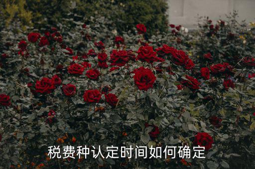 稅種認定后什么時間申報，稅務(wù)局變更稅費種認定變更后多久可以可以報稅