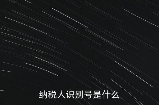 山西國(guó)稅納稅人識(shí)別號(hào)是什么，納稅人識(shí)別號(hào)是什么