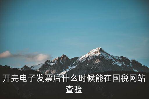 開完電子發(fā)票后什么時候能在國稅網站查驗