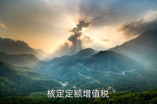 核定定額什么意思，什么叫上網(wǎng)電量和核定的定額稅率