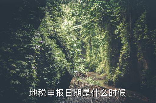地稅清稅報告時間是什么原因，每月稅務(wù)申報時間什么時候