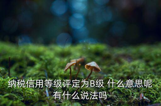 國稅b級信用是什么意思，納稅信用等級評定為B級 什么意思呢有什么說法嗎