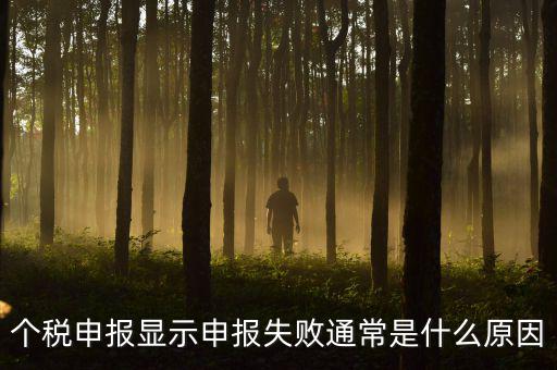 個稅申報系統(tǒng)為什么不能反饋，為什么個人所得稅申報以后反饋信息失敗
