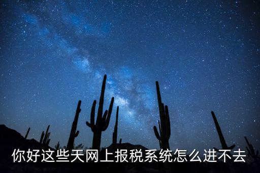為什么個(gè)稅系統(tǒng)打不開(kāi)，你好這些天網(wǎng)上報(bào)稅系統(tǒng)怎么進(jìn)不去