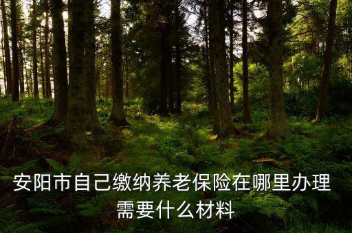 安陽(yáng)地稅局交個(gè)人保險(xiǎn)在什么地方，安陽(yáng)市醫(yī)保交費(fèi)在哪里地稅局