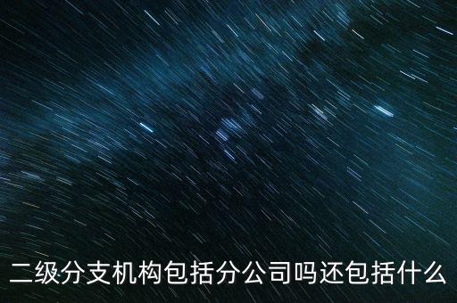 什么是二級(jí)分支機(jī)構(gòu)，現(xiàn)在分公司要辦稅務(wù)登記證但是我想問一下二級(jí)分機(jī)構(gòu)指的是