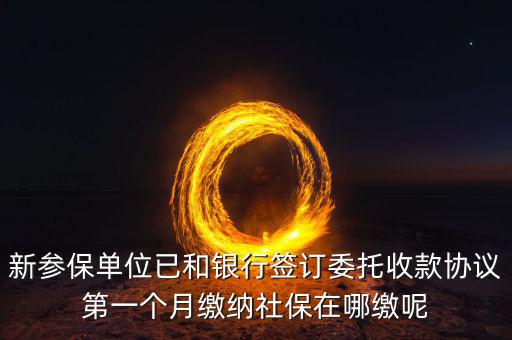 什么時候辦理授權(quán)劃繳協(xié)議，如何取得委托銀行劃轉(zhuǎn)地方稅費(fèi)授權(quán)書協(xié)議書去銀行還是去地稅