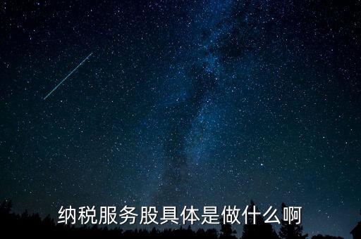 納稅服務(wù)股是什么意思，納稅服務(wù)股具體是做什么啊