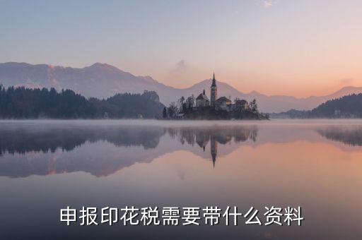 辦理印花稅退稅要帶什么資料，辦理退稅賬號銀行開戶印鑒卡需要提交什么資料急急急