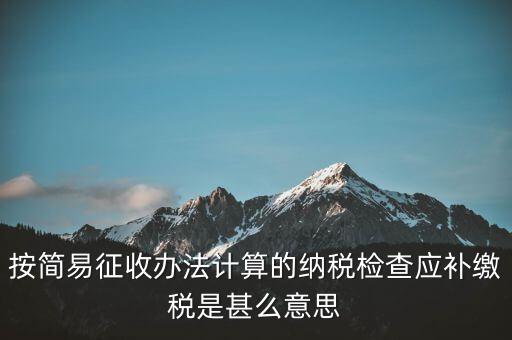 簡易征收什么意思，按簡易征收辦法計(jì)算的納稅檢查應(yīng)補(bǔ)繳稅是甚么意思