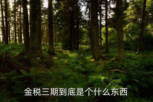 金三上線是什么意思，什么是稅務(wù)金山系統(tǒng)