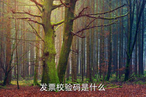電子發(fā)票 查詢的驗證碼是什么，發(fā)票校驗碼是什么