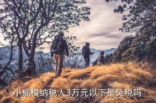 3萬以下免稅是什么意思，小規(guī)模納稅人3萬元以下是免稅嗎