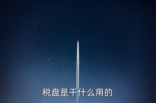 稅盤是干什么用的