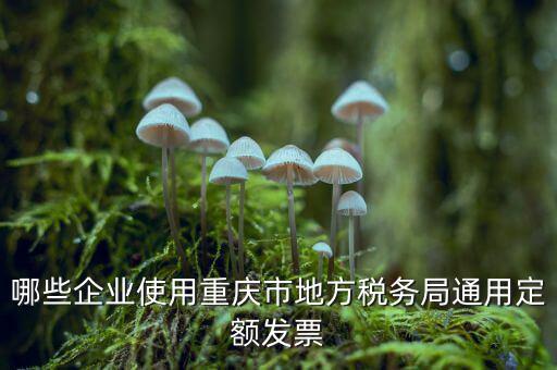 定額發(fā)票什么行業(yè)，哪些企業(yè)能買手撕定額發(fā)票小規(guī)模生產(chǎn)企業(yè)已經(jīng)開了普通發(fā)票能買