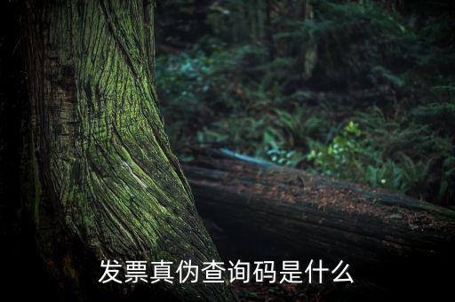 網(wǎng)絡(luò)發(fā)票查詢號(hào)是什么，發(fā)票真?zhèn)尾樵兇a是什么