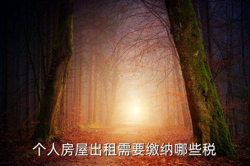 個人租房交什么稅，個人出租房屋要交什么稅費(fèi)