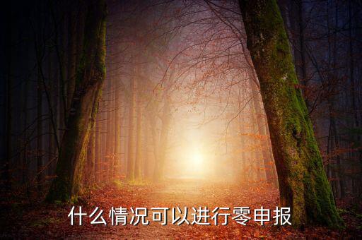 什么情況下可以一鍵零申報(bào)，什么情況可以進(jìn)行零申報(bào)