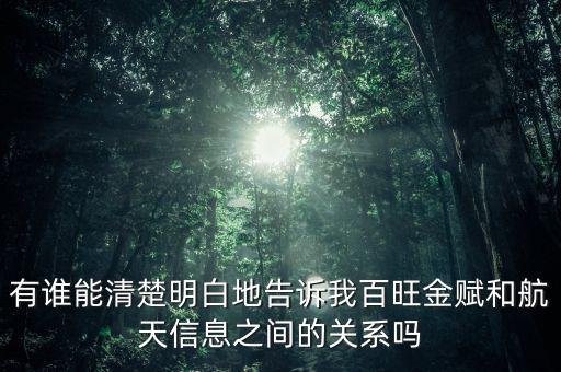 有誰(shuí)能清楚明白地告訴我百旺金賦和航天信息之間的關(guān)系嗎