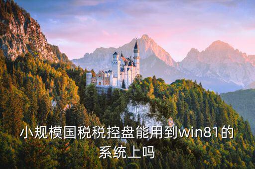 稅盤安裝支持什么系統(tǒng)下載，稅控發(fā)票開票軟件v2130170612能在win10上安裝嗎