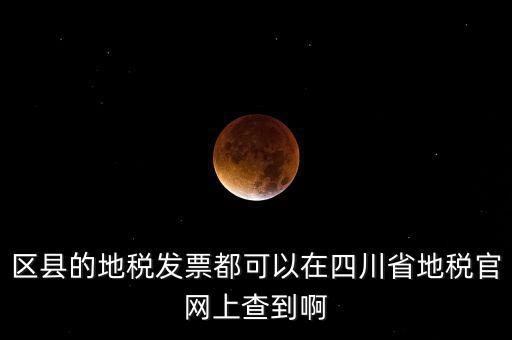 四川省網(wǎng)上稅務局用什么服務器，區(qū)縣的地稅發(fā)票都可以在四川省地稅官網(wǎng)上查到啊