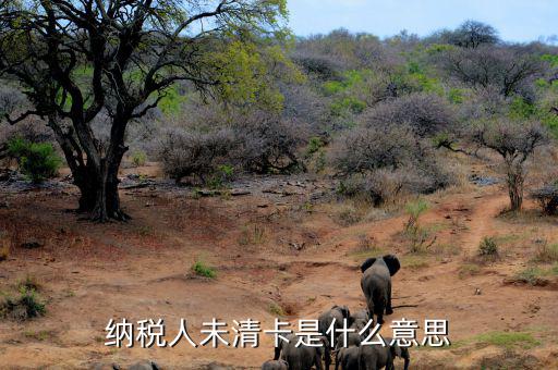 稅務(wù)未清分是什么意思，清稅證明已開但是工商系統(tǒng)一定顯示稅務(wù)未清理完成是怎么回事