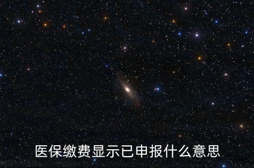醫(yī)保繳費(fèi)顯示已申報什么意思