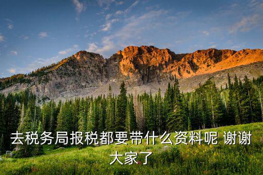 去稅務局報稅都要帶什么資料呢 謝謝大家了