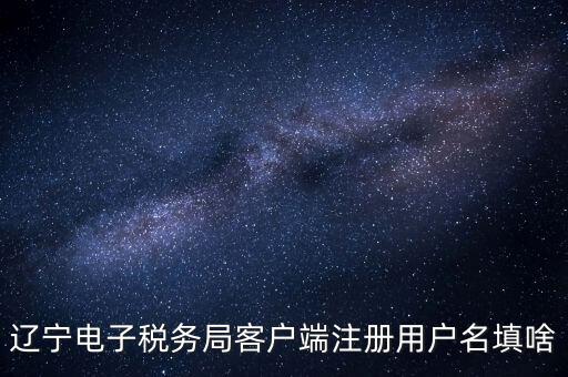 遼寧省網(wǎng)上稅務(wù)局登錄需要什么，遼寧電子稅務(wù)局客戶端注冊用戶名填啥