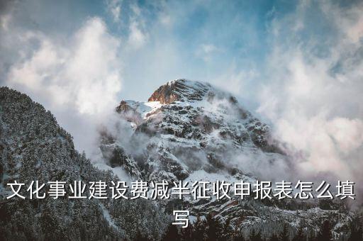 什么叫文化事業(yè)建設(shè)費(fèi)申報(bào)表，文化事業(yè)建設(shè)費(fèi)申報(bào)表怎么填