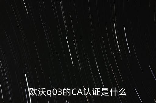 ca認(rèn)證密碼是什么意思，歐沃q03的CA認(rèn)證是什么